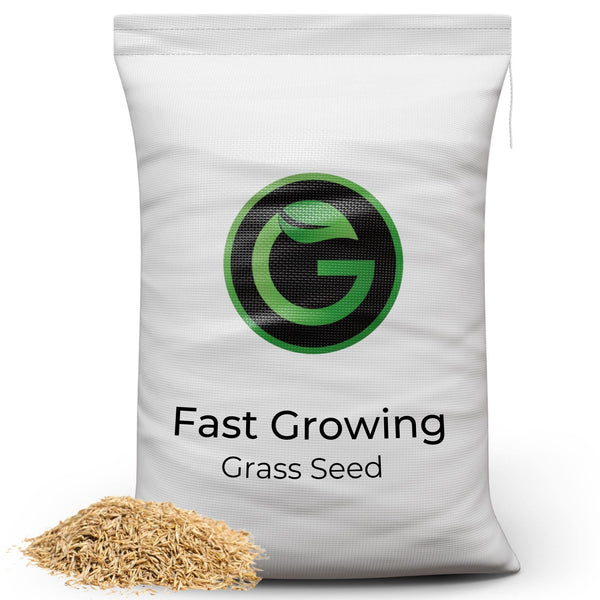 Fast Growing Grass Seed UK - Repair Lawns and Patches Quick - Pet Friendly & Hardwearing - 10kg - Garden Lawncare Guy