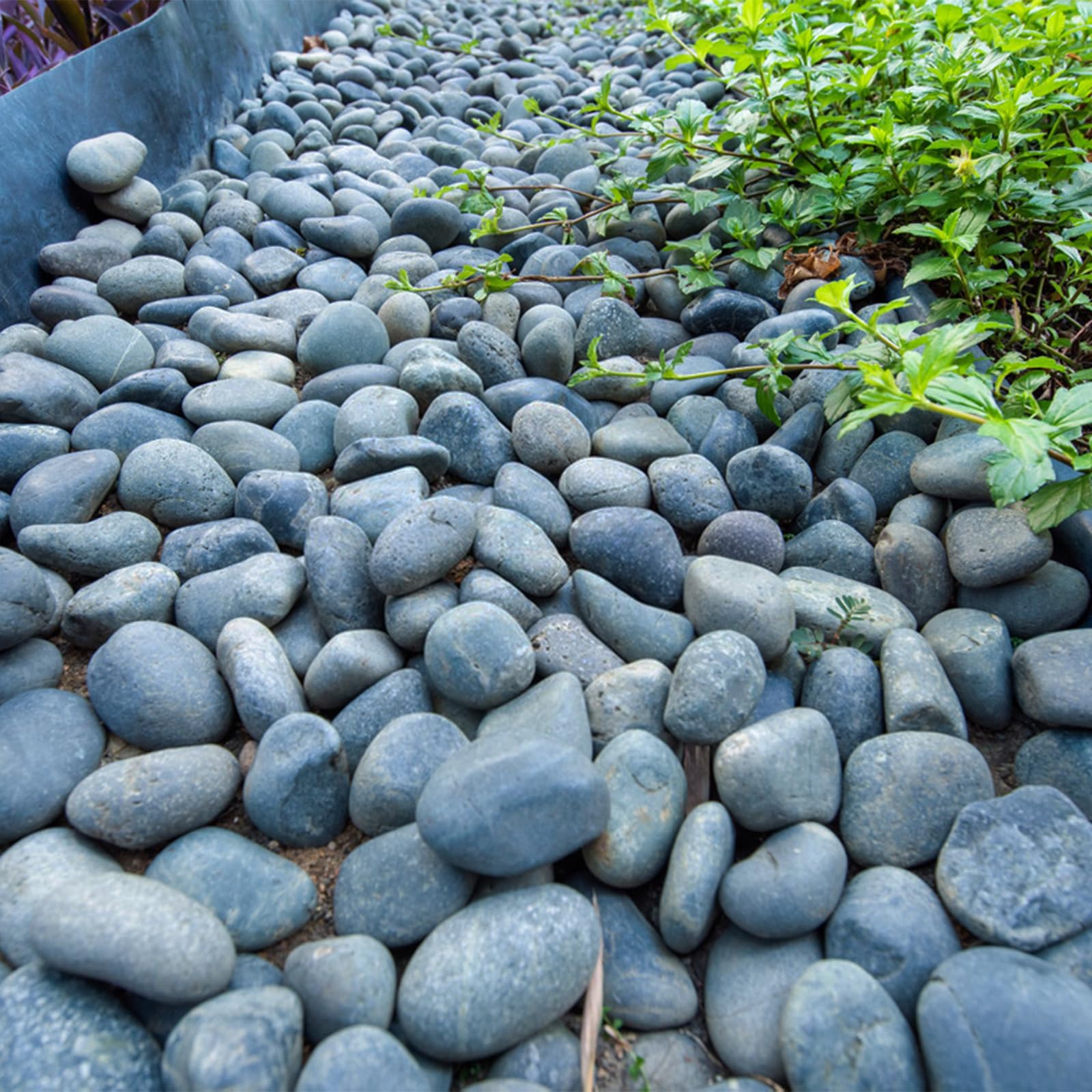 FANTIAN 20 lbs Black Stones for Garden,4-6 cm Large Natural Beach Cobbles. Decorative Black Pebbles for Plant Pots, Ponds, Water Features, Aquarium,