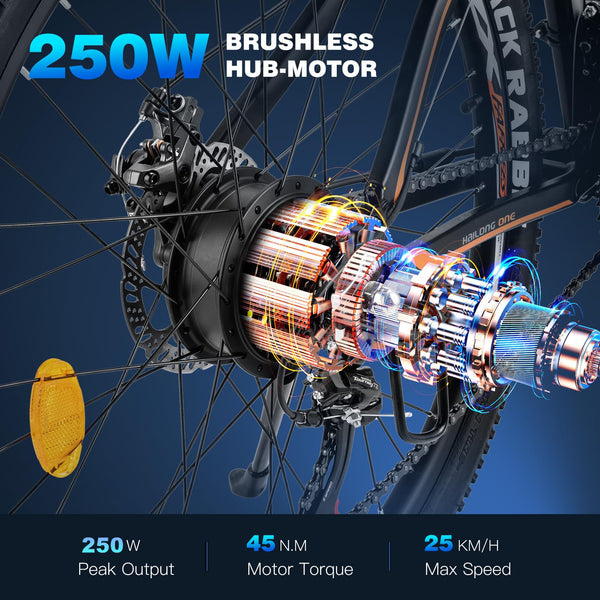 Fafrees 26" Electric Bikes for Adults, 468Wh Removable Battery, Pedal Assist Ebikes for Men Women, 250W Electric Bicycle for City, 25KM/H 21-Speed MTB, HAILONG ONE