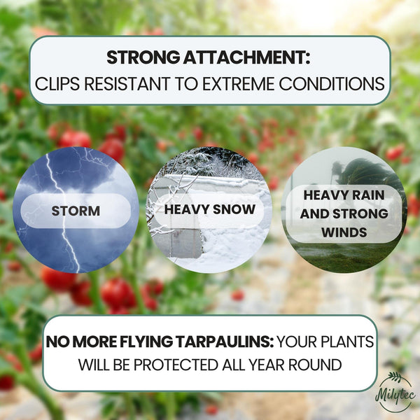 Pack of 50 Greenhouse Clips, Diameter 25 mm, Galvanised Steel, Metal Fixing Clips for Greenhouse Tarpaulin Tunnel for Garden, Seeding and Planting