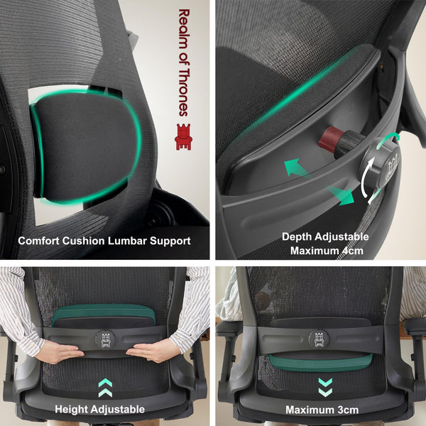 Realm of Thrones CAPTAIN Ergonomic Office Chair for Home, Heavy Duty Steel Base, Versatile Flip-up Armrests, Adjustable Lumbar Support, Mesh Back Comfort Cushion Seat for Computer Desk/Gaming (Black)