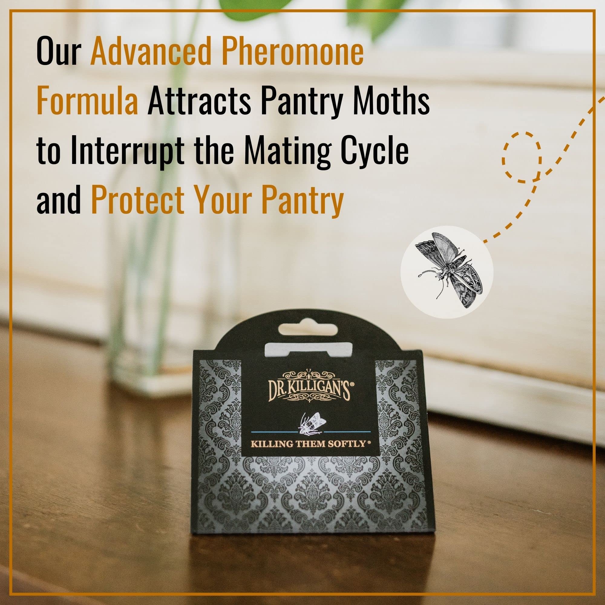 Dr. Killigan's Premium Pantry Moth Traps with Pheromones Prime | Safe, Non-Toxic with No Insecticides | Sticky Glue Trap for Food and Cupboard Moths