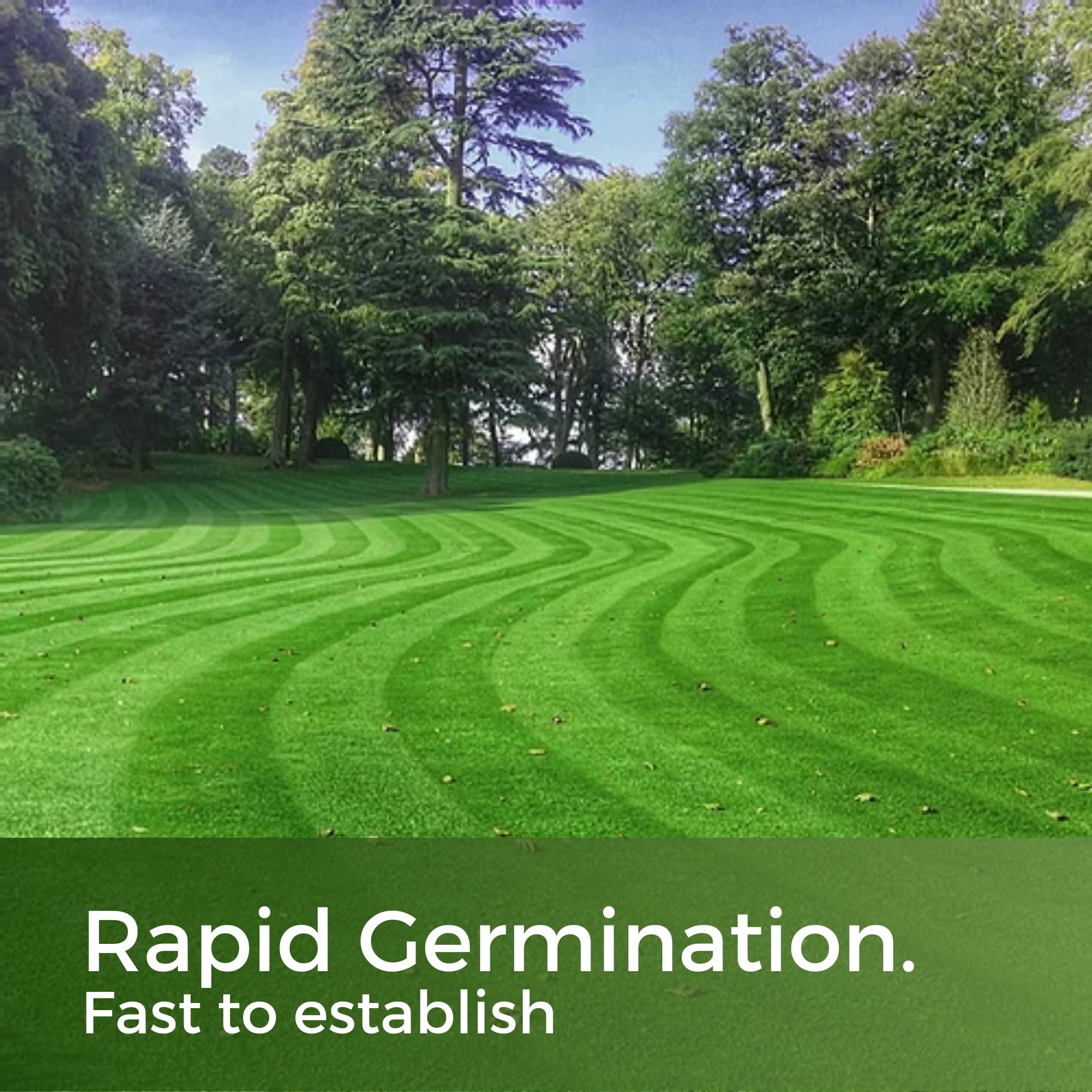 Fast Growing Grass Seed UK - Repair Lawns and Patches Quick - Pet Friendly & Hardwearing - 10kg - Garden Lawncare Guy