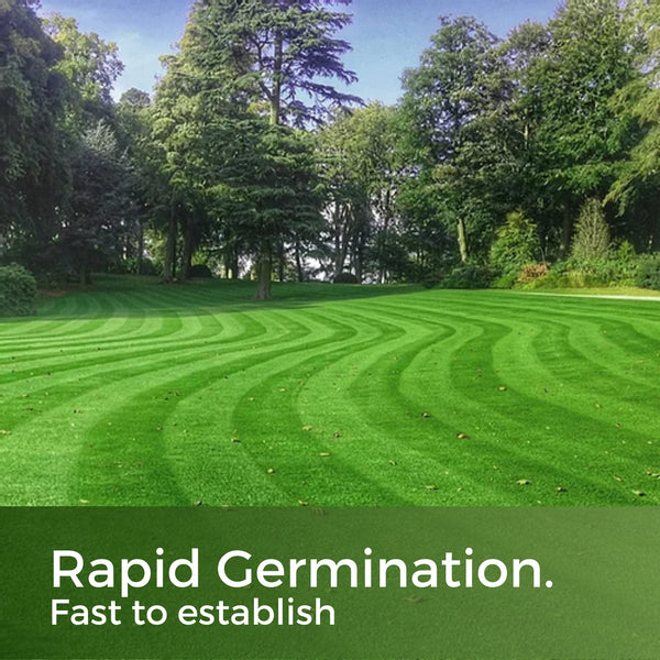 Fast Growing Grass Seed UK - Repair Lawns and Patches Quick - Pet Friendly & Hardwearing - 10kg - Garden Lawncare Guy
