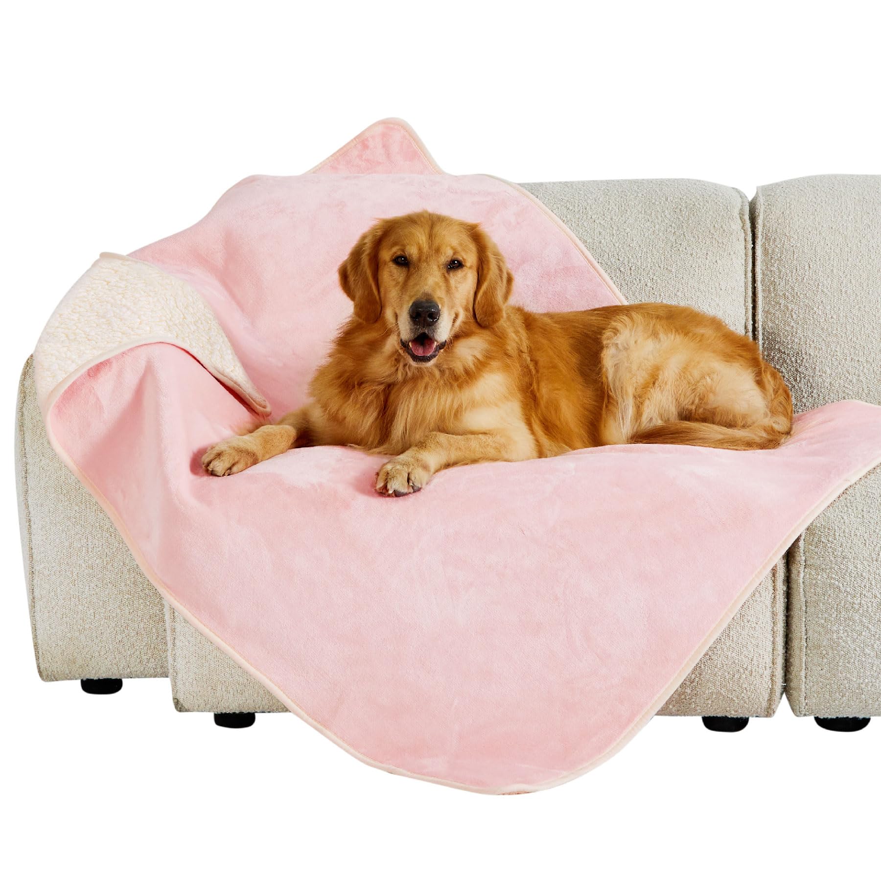 Lesure Waterproof Fleece Blanket Washable - 152x203cm Ultra Soft Grey Dog Blanket Over Sofa Bed Garden, Twin/Double Throw with Soft Plush, Fit All Season