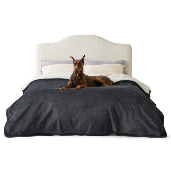 Lesure Waterproof Fleece Blanket Washable - 152x203cm Ultra Soft Grey Dog Blanket Over Sofa Bed Garden, Twin/Double Throw with Soft Plush, Fit All Season