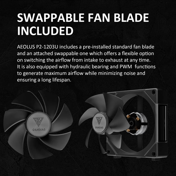 GAMDIAS 120mm ARGB PC Case Fans, Computer Case Fan, Cabless Daisy Chain Connection, Dual Infinity Mirror Lighting, Swappable Fan Blade for Reverse Airflow, Performance 30mm Thick, With Control Box