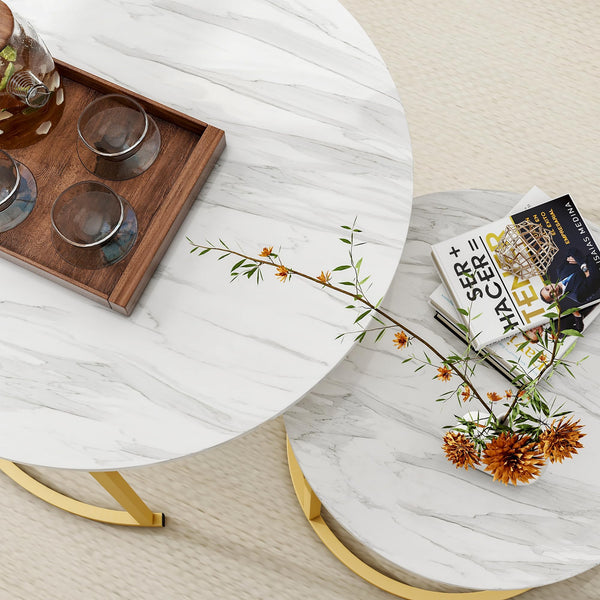 HOJINLINERO Round Coffee Table Set of 2,Nest of Tables,Coffee Tables for Living Room,Wooden Coffee Table with Storage & Gold Metal Frame,Modern Side