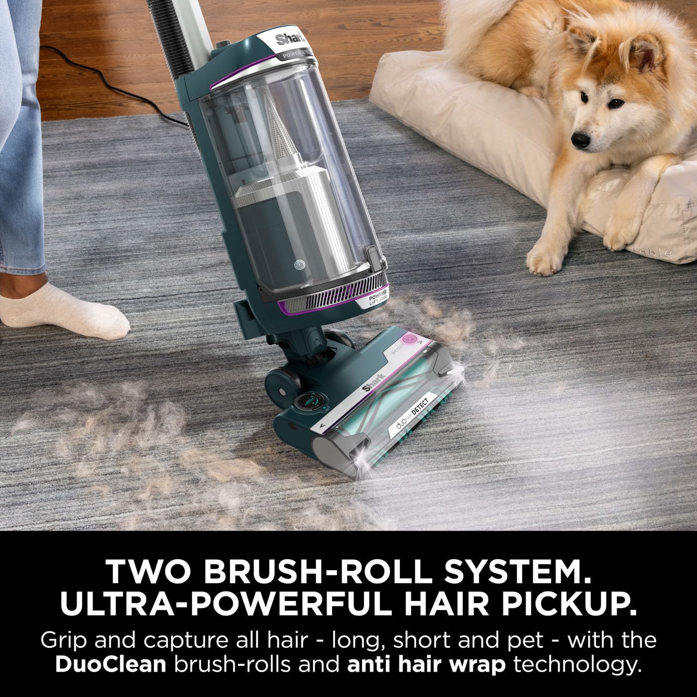 Shark PowerDetect Corded Upright Vacuum Cleaner, DuoClean Detect, Reverse Clean, Anti Hair Wrap Plus, Anti-Allergen, 8m Cord, 1.3L, Dusting Brush, Pet, Crevice, Multi Surface Tools & Bag, AZ3900UKTBK
