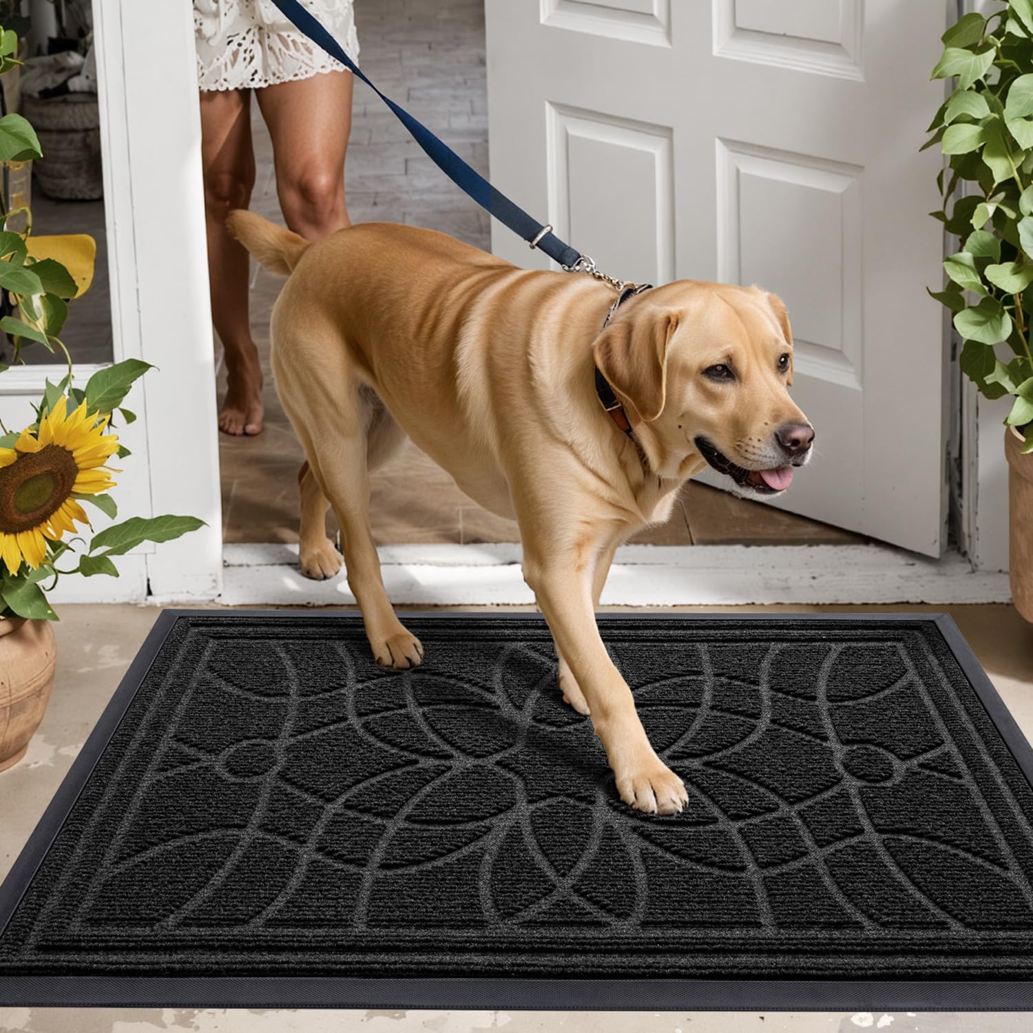 DEXI Door Mat 60 x 90 cm, Rubber Backing Dirt Trapper, Heavy Duty Non-Slip Entrance Rug, Easy Clean Shoes Scraper Doormat for Outdoor and Indoor,