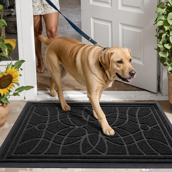 DEXI Door Mat 60 x 90 cm, Rubber Backing Dirt Trapper, Heavy Duty Non-Slip Entrance Rug, Easy Clean Shoes Scraper Doormat for Outdoor and Indoor,