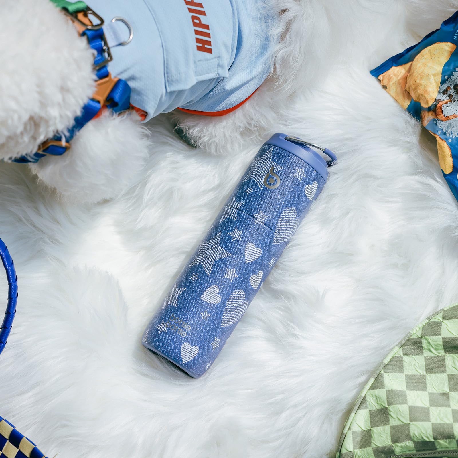 Insulated Water Bottle 700ml(24oz) with Straw, Lid, and Handle - Stainless Steel Sports Travel Gym Bottle for Men and Women (Skiing)