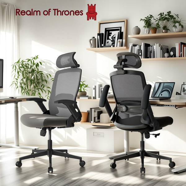 Realm of Thrones CAPTAIN Ergonomic Office Chair for Home, Heavy Duty Steel Base, Versatile Flip-up Armrests, Adjustable Lumbar Support, Mesh Back Comfort Cushion Seat for Computer Desk/Gaming (Black)