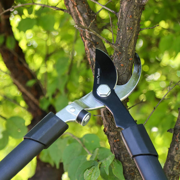 FLORA GUARD 26 Inch Garden Lopper - Heavy Duty Branch Lopper, Pruner Bypass loppers and Tree Trimmer with 1.25 Inch Cutting Capacity