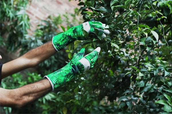 Leather Gardening Gloves Ladies Men/Women Short & Long Forearm Protection Thorn Proof Breathable Spandex Goatskin Leather Rose Pruning Garden Safety Work Gloves, Best Garden Gifts (Long Gloves, M)