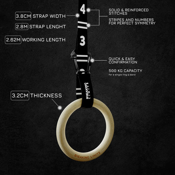 BREAKING LIMITS Gymnastics Rings - Adjustable Straps with Quick Release & Carabiner - Textured & Non-Slip Birch Wood Gym Rings - As Calisthenics