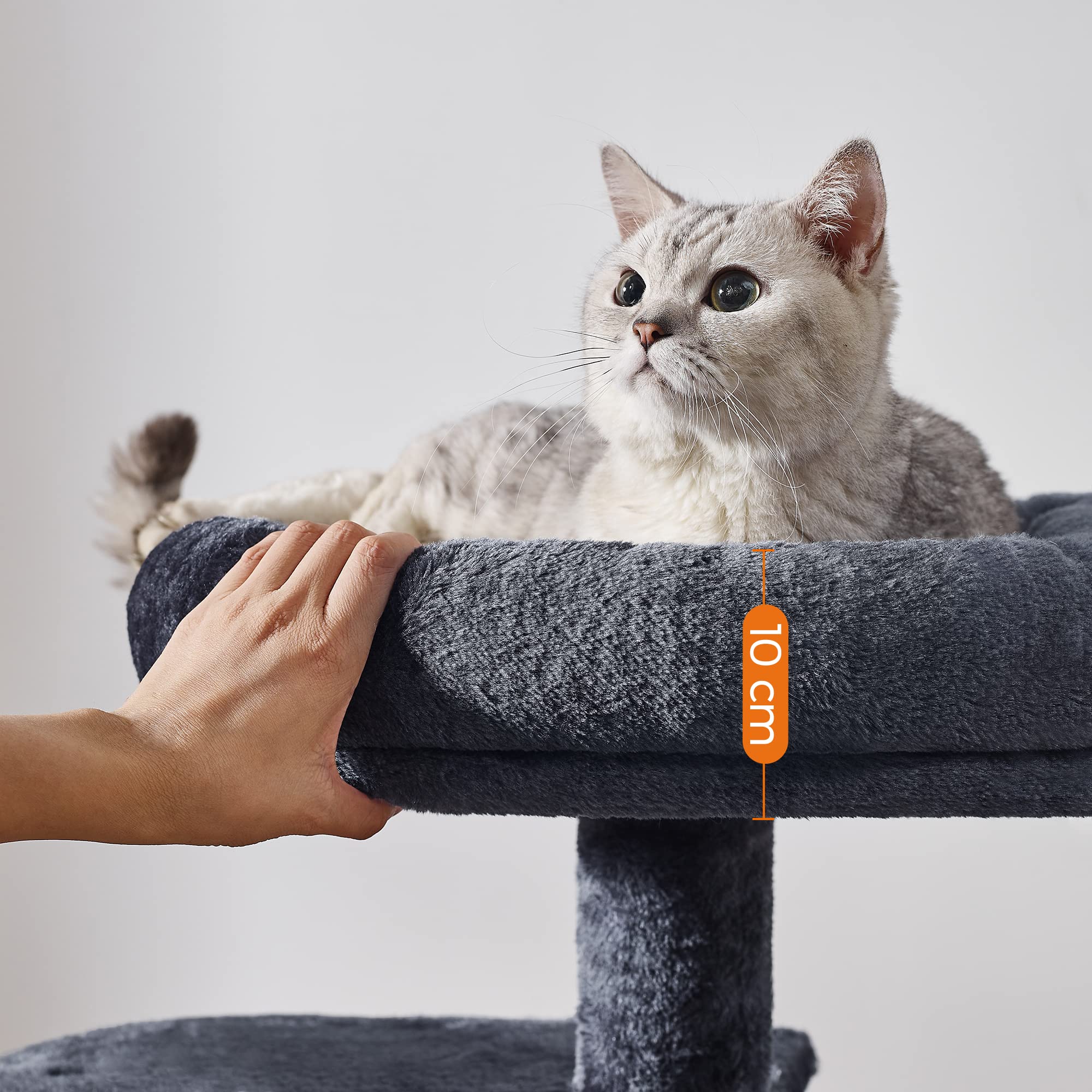 FEANDREA Cat Tree, Small Cat Tower, Kitten Scratching Post, Smoky Grey PCT59G