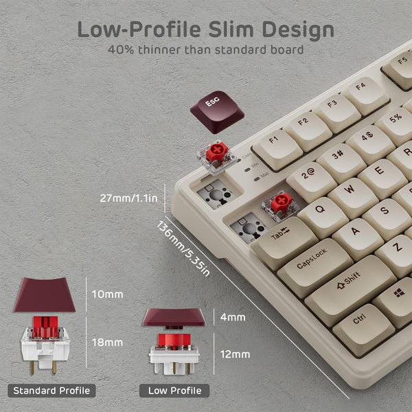 RK ROYAL KLUDGE N80 Low-Profile Mechanical Keyboard w/Smart Display Screen & Knob, Top Mount 75% Wireless Keyboard BT/2.4G/USB-C, Software Support, Massive Battery,80 Keys, Soft Tactile Brown Switches