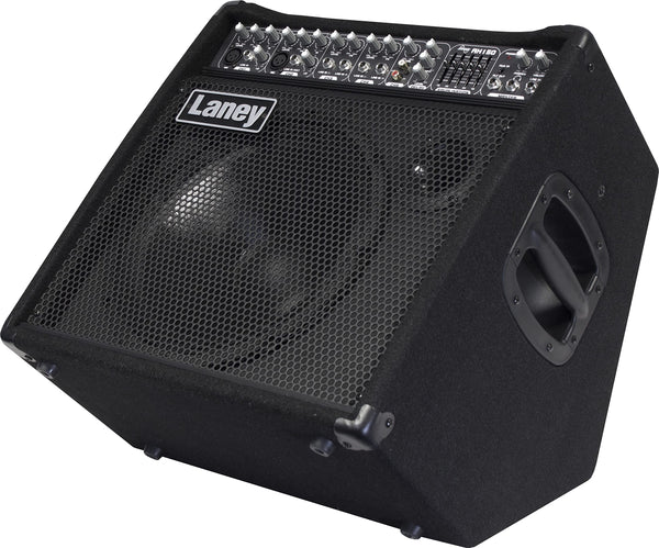 Laney AUDIOHUB Series AH80 - Multi-Input Combo Amp - 80W - 10 inch Woofer plus Horn, Black