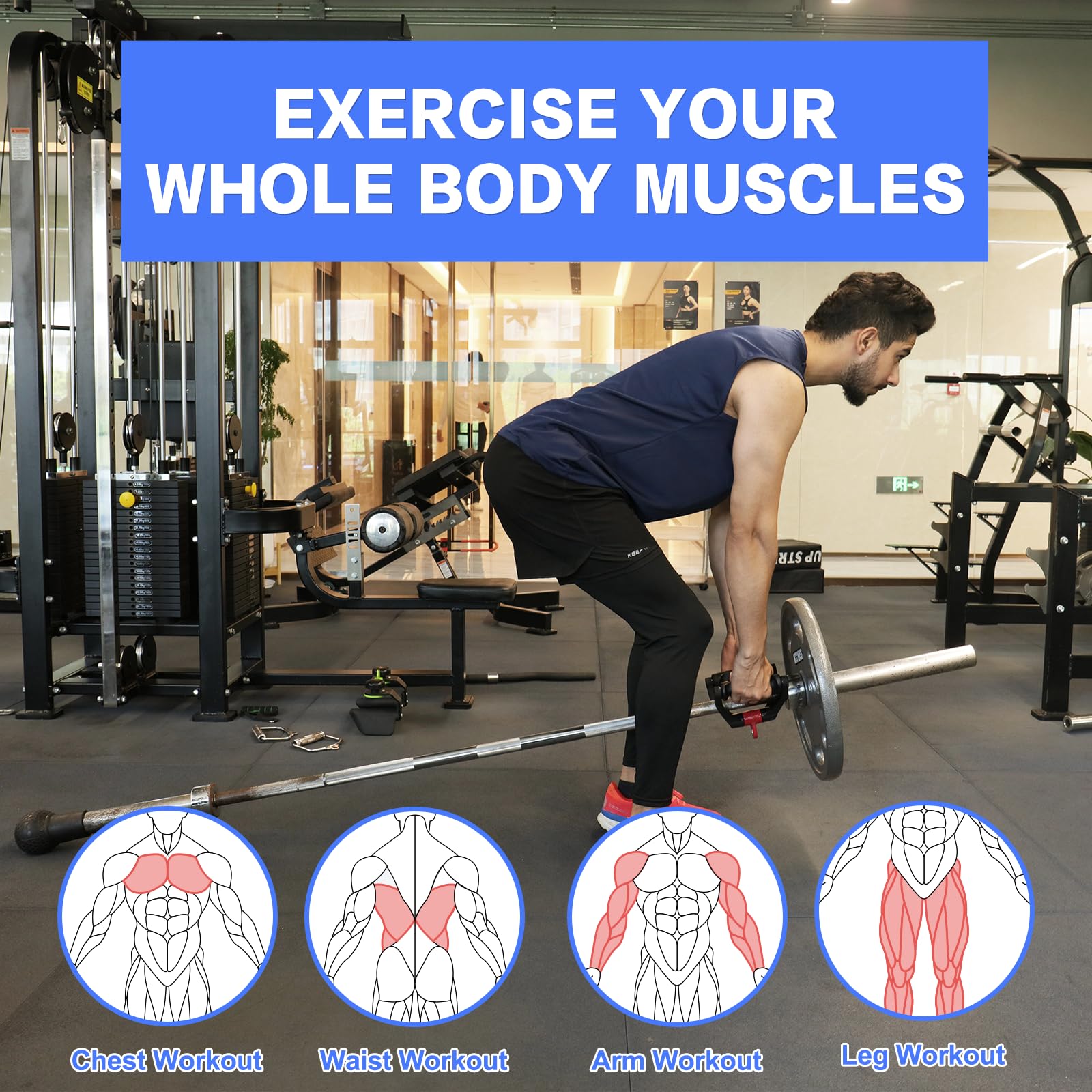 HXD-ERGO Double D Rowing Handle Barbell Attachment Set, Barbell Attachment Base Grips for 2" Olympic Bars, Fitness Pull Up Grip for Biceps and Triceps