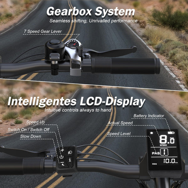 VARUN Electric Bike, 26 inch 4.0 Fat Tire Electric Mountain Bike with 48V16Ah/13Ah Battery, 85NM 250W Motor, Large LCD Meter, Aluminium E-fatbike for Adults, Range 100-120KM