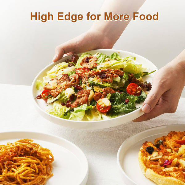 Jassceram 10.5 Inch Dinner Plates, Ceramic Flat Plates for Dining and Kitchen, High Edge Modern Plates - Microwave, Oven and Dishwasher Safe, Scratch