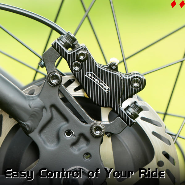 DYISLAND LD-200 2-Pistons Hydraulic Disc Brake Set for ebike,2-PIN Power-Off Electric Bike Hydraulic Brake kit?Hydraulic Brake Kits with mounting