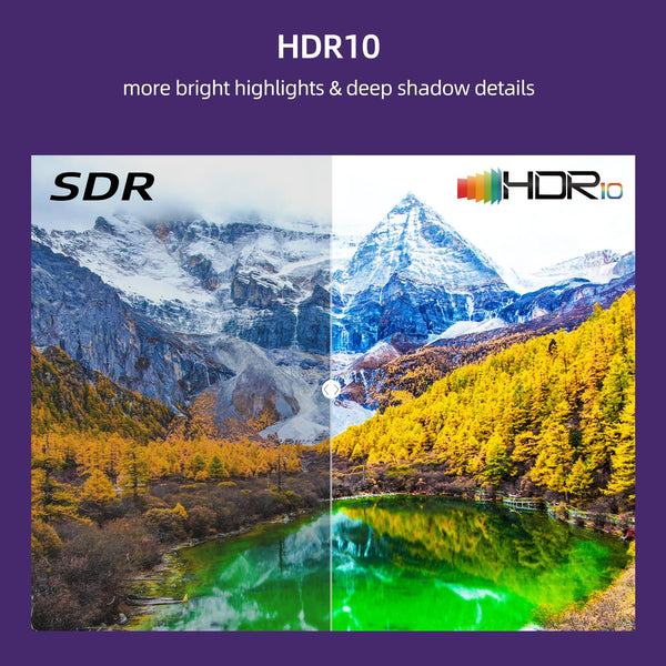 CHiQ U50QM9K 50 inch Smart QLED Roku TV, 4k UHD, HDR10 HLG, Dolby Audio, Works with Alexa, DVB-T/T2, Support Apple Air-Play, Google Assistant, Prime Video, HDMI2.1, USB2.0