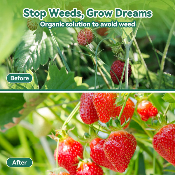 Domusensus Weed Control Membrane 2m x 25m - with 50 U-Shaped Garden Pegs Heavy Duty Weed Control Barrier Fabric Landscape for Vegetable Garden,