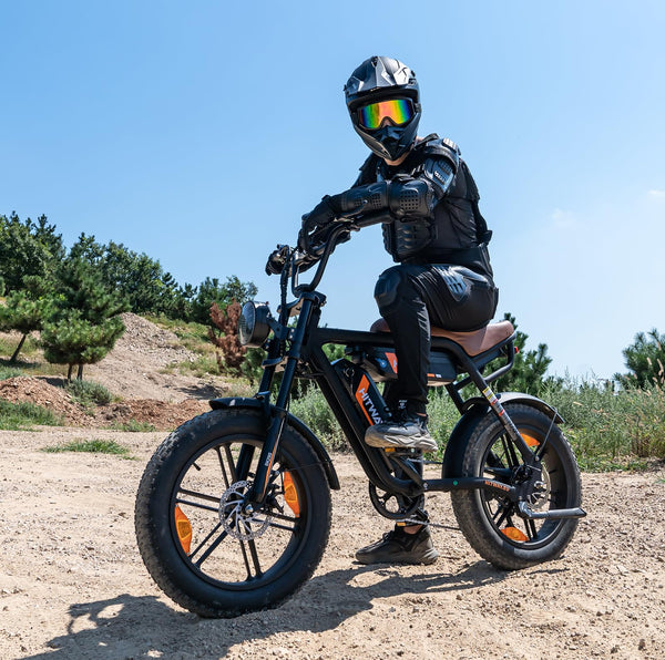 HITWAY Electric Bicycle, 20 * 4.0 inch Off-Road EBIKE for Adults with 250W Motor and 48V 15Ah/2 * 48V13Ah Battery, 7 Speed Snow Bike range 45-150 km