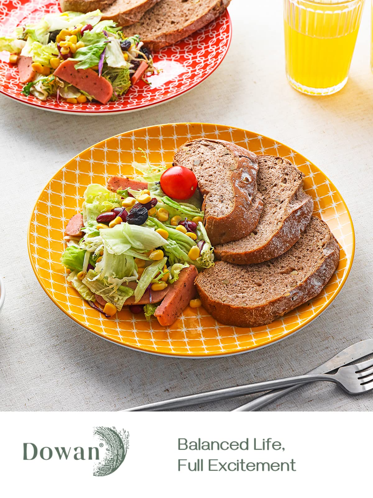 DOWAN 26.7cm Ceramic Dinner Plates, Vibrant Colours Pasta Salad Plate Set of 6, Dessert Plates for Picnic Party Christmas Housewarming Mothers Day,