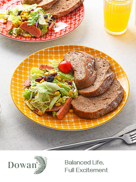 DOWAN 26.7cm Ceramic Dinner Plates, Vibrant Colours Pasta Salad Plate Set of 6, Dessert Plates for Picnic Party Christmas Housewarming Mothers Day,