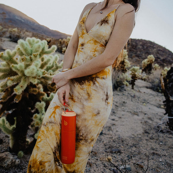 Insulated Water Bottle 700ml(24oz) with Straw, Lid, and Handle - Stainless Steel Sports Travel Gym Bottle for Men and Women (Skiing)