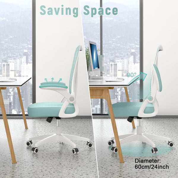 naspaluro Office Chair Ergonomic Desk with 90° Flip-up Armrest Lumbar Support, Height Adjustable Chair, Executive Swivel Computer Padded Seat Cushion for Home/Office