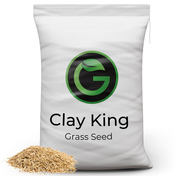 Clay King - Grass Seed for Clay Soil UK - Deep Rooting for Clay Lawns and New Builds - 10kg - Garden Lawncare Guy