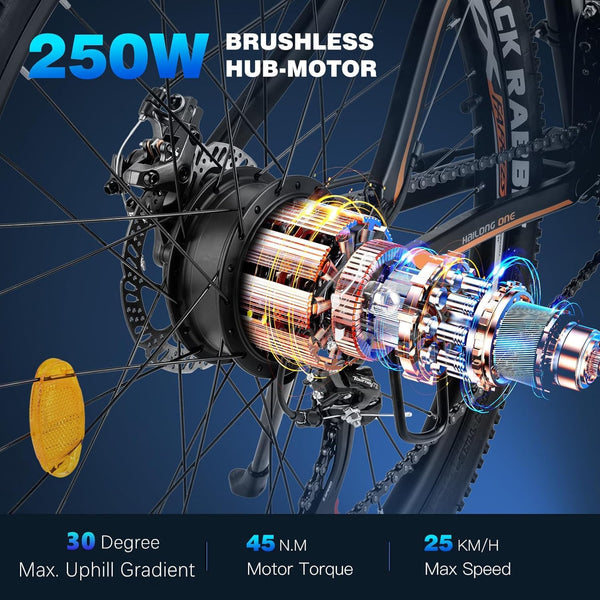 Fafrees 26" Electric Bikes for Adults, 468Wh Removable Battery, Pedal Assist Ebikes for Men Women, 250W Electric Bicycle for City, 25KM/H 21-Speed MTB, HAILONG ONE