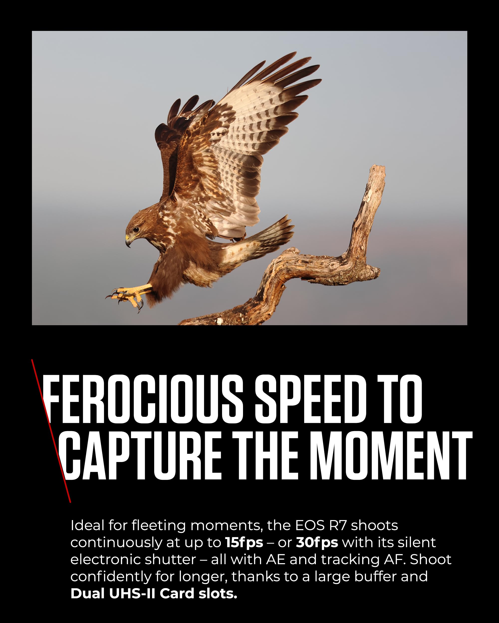 Canon Mirrorless Cameras EOS R7 Body - 32.5 MP APS-C Sized Image Sensor - Dual Pixel CMOS AF II - 4K UHD Video - In-Camera Compositing - LCD Touchscreen - UVC/UAC Compatible