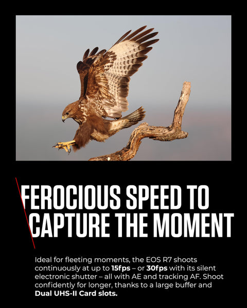 Canon Mirrorless Cameras EOS R7 Body - 32.5 MP APS-C Sized Image Sensor - Dual Pixel CMOS AF II - 4K UHD Video - In-Camera Compositing - LCD Touchscreen - UVC/UAC Compatible