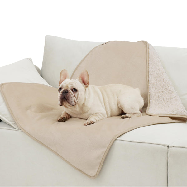 Lesure Waterproof Fleece Blanket Washable - 152x203cm Ultra Soft Grey Dog Blanket Over Sofa Bed Garden, Twin/Double Throw with Soft Plush, Fit All Season