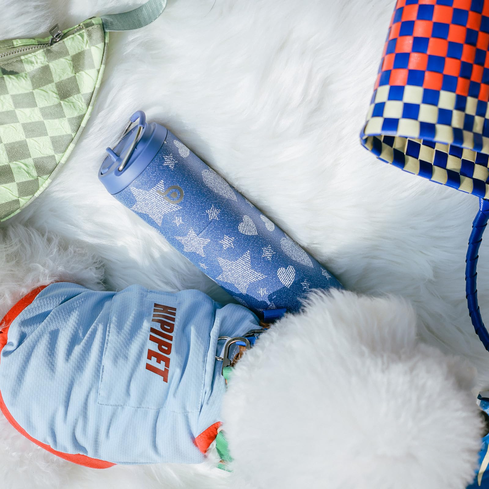 Insulated Water Bottle 700ml(24oz) with Straw, Lid, and Handle - Stainless Steel Sports Travel Gym Bottle for Men and Women (Skiing)