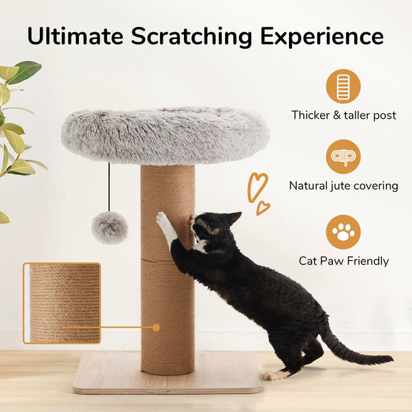 FUKUMARU Cat Scratching Post with Bed, Plant Style Kitten Scratcher, Solid Wood Post, Small Cat Tower Tree with Natural Jute Rope for Indoor Kitten &