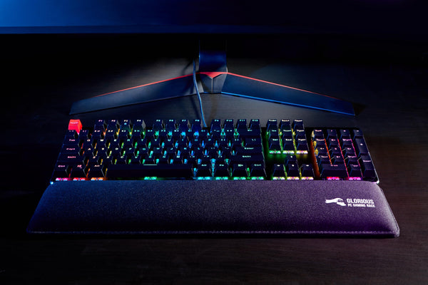 Glorious Gaming GMMK Compact 60%, Barebones (Frame Only) - Mechanical Gaming Keyboard, Per Key RGB, Hotswap & Customisable, International/ISO Layout - Black