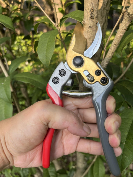 Horsvill Pruning Secateurs, Japanese Floral Scissors, Garden Shears for Gardening Heavy Duty, Pruner Scissors Gardening Tools, Tree Branches Cutter