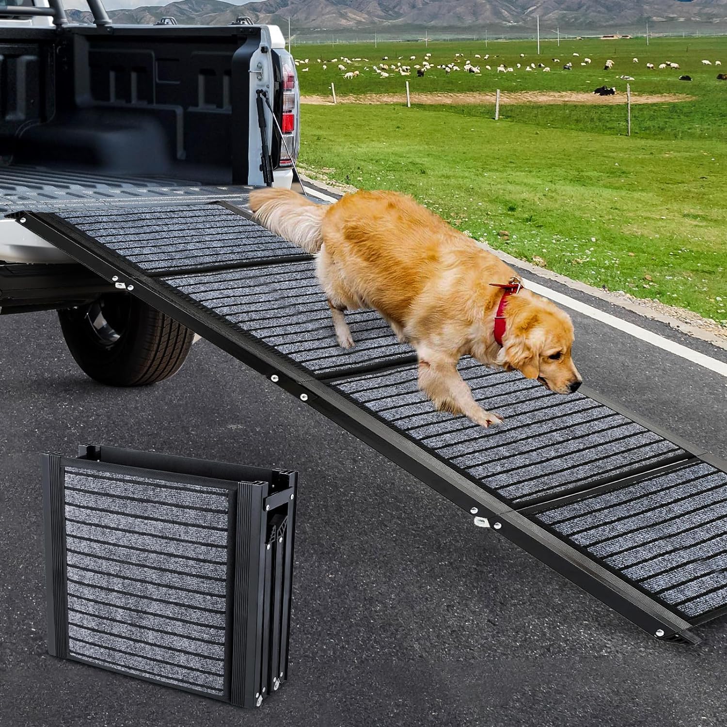 170cm Long Dog Ramp for Cars,43cm Wide Folding Dog Ramp for Large Dogs with High Traction Carpet Surface,Non-slip for Truck,SUV,Portable Pet Ramp Stairs for Medium Large Dog Up to 100kg