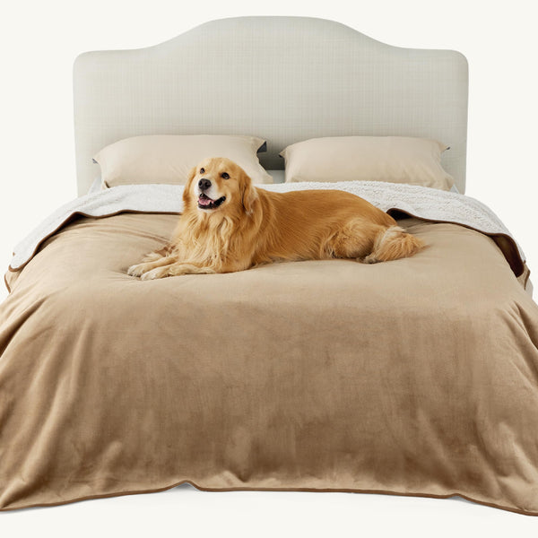 Lesure Waterproof Fleece Blanket Washable - 152x203cm Ultra Soft Grey Dog Blanket Over Sofa Bed Garden, Twin/Double Throw with Soft Plush, Fit All Season