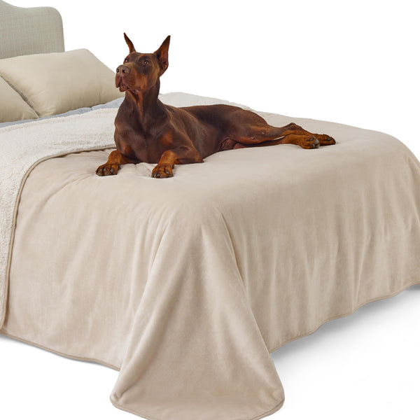 Lesure Waterproof Fleece Blanket Washable - 152x203cm Ultra Soft Grey Dog Blanket Over Sofa Bed Garden, Twin/Double Throw with Soft Plush, Fit All Season