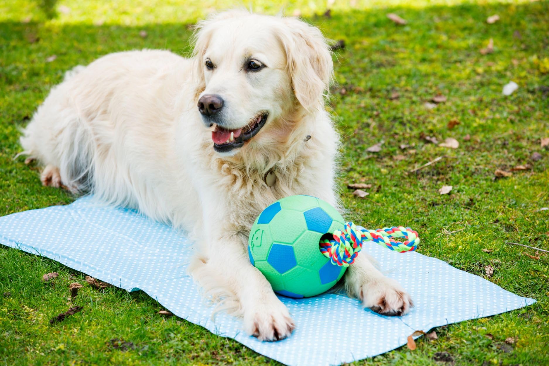 Petface Cooling Summer Dog Coat, 70 cm, Blue