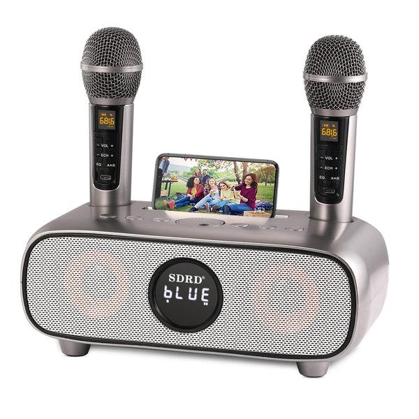Upgrade Karaoke Machine for Adults and Kids,Portable Bluetooth 2 UHF Wireless Karaoke Microphone with Holder/USB/TF Card/AUX-in,PA Speaker System for Home Party, Picnic,Car,Outdoor/Indoor-Grey