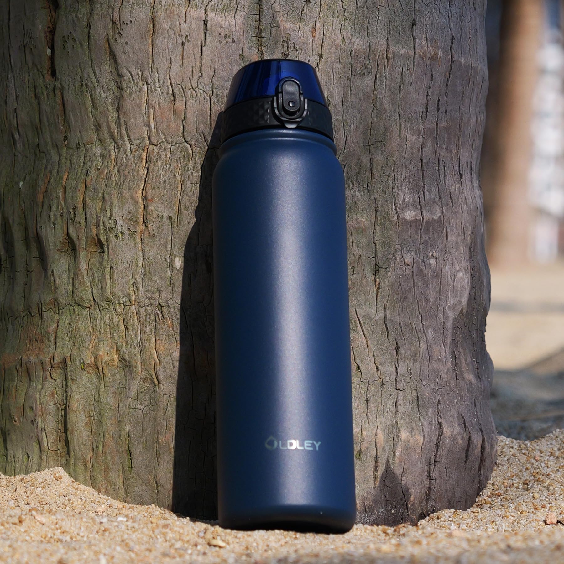 OLDLEY Stainless Steel Water Bottle with Straw 1L Vaccum Insulated Large Drink Flask Metal Water Bottles 1 Litre Leakproof Keep Drinks Hot Cold for Sports Gym with Different Lids(Purple Green, 3 Lids)