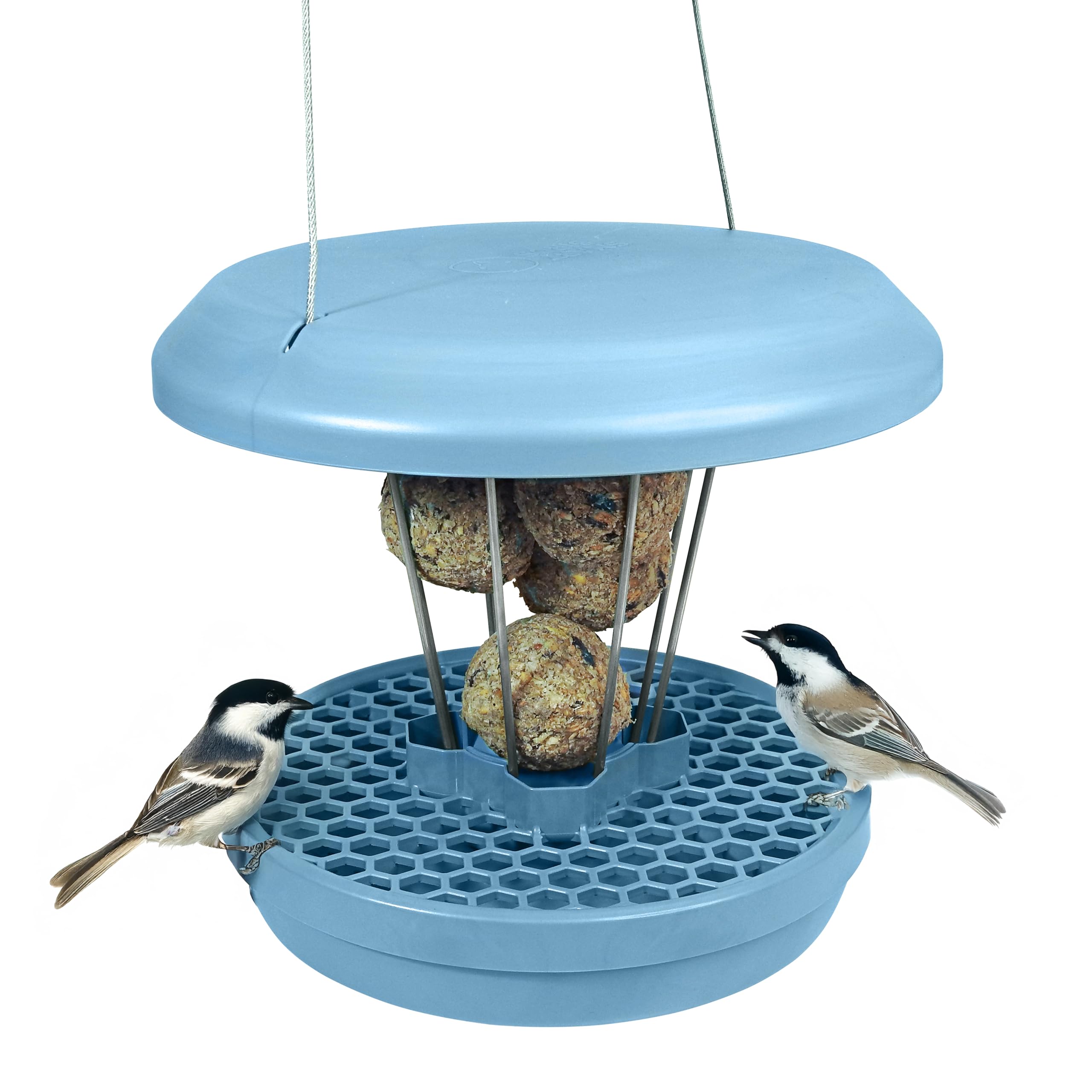 Smart Bird Feeder Lucerne | Hanging No Mess Station | Rat and Mouse Proof | Robin, Niger Seed Tray Catcher | Robust and Reliable | For Fat Balls |